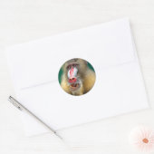 Sticker Rond Singe (Enveloppe)