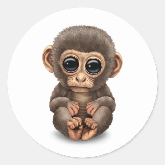 Sticker Rond Singe Bébé mignon et curieux en blanc (Devant)