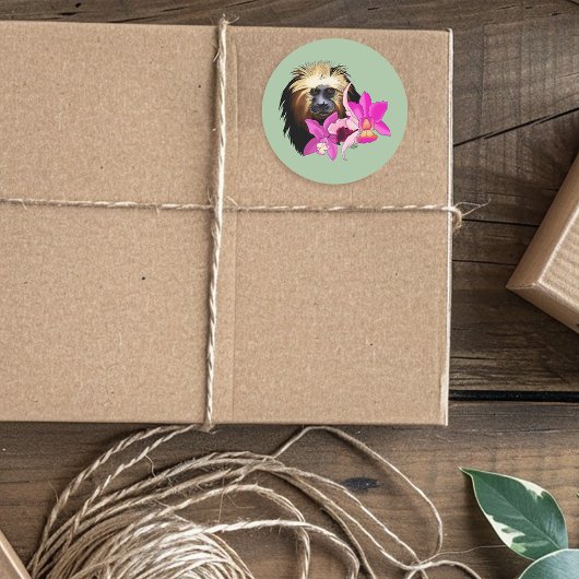 Sticker Rond Singe tamarin, Lion à tête dorée