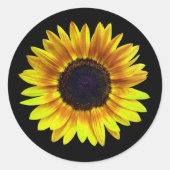 Sticker Rond Single Bright Yellow (Devant)