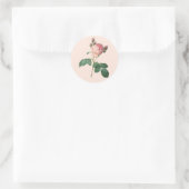 Sticker Rond Single Stem Anglais Rose Botanique (Sac)