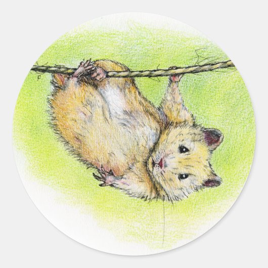 Sticker Rond Sir Ham (Devant)