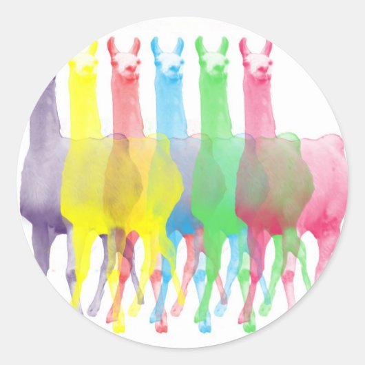 Sticker Rond six lamas dans six couleurs lamas (Devant)