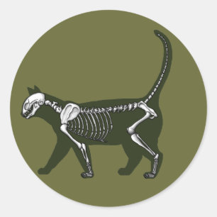 Sticker Rond Skeleton de chat