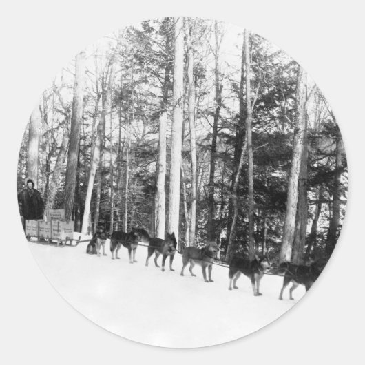 Sticker Rond Sledding de chien de l'Alaska (Devant)