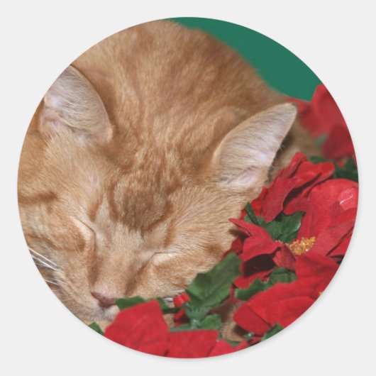 Sticker Rond Sleepy Christmas kitty (Devant)