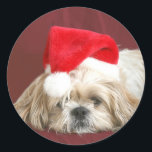 Sticker Rond Sleepy Christmas Shih Tzu<br><div class="desc">Shih Tzu portant son chapeau de Père Noël a sommeil en attendant que le Père Noël arrive avec un autocollant photo</div>