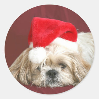 Sticker Rond Sleepy Christmas Shih Tzu