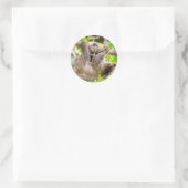 Sticker Rond Sloth (Sac)