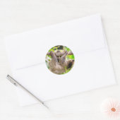 Sticker Rond Sloth (Enveloppe)