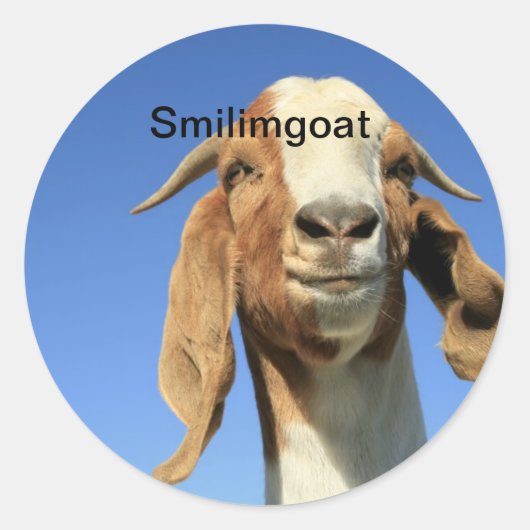 Sticker Rond Smilingoat (Devant)