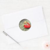 Sticker Rond Snack sur fraise (Enveloppe)