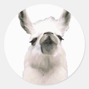 Sticker Rond Snooty Snobby Llama personnalisé