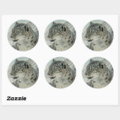 Sticker Rond Snow Leopard du sommet King (Feuille)