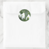 Sticker Rond snowdrop, de la collection de cadeaux de fleurs (Sac)