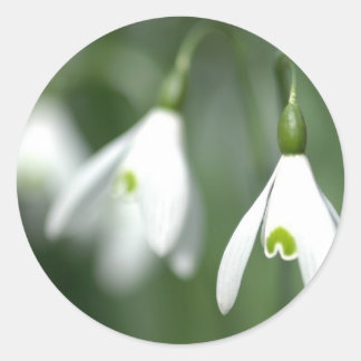 Sticker Rond snowdrop, de la collection de cadeaux de fleurs