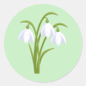 Sticker Rond Snowdrops - Fleurs de printemps sur vert (Devant)