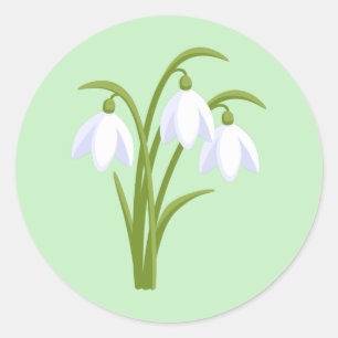 Sticker Rond Snowdrops - Fleurs de printemps sur vert