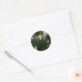Sticker Rond Snowdrops I (Enveloppe)