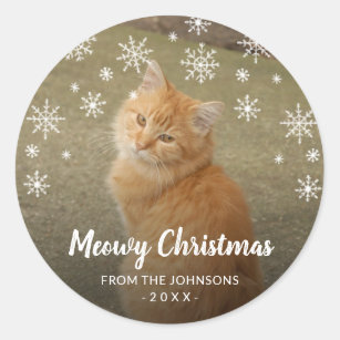 Sticker Rond Snowflakes Chat Photo Cute Meowny Noël