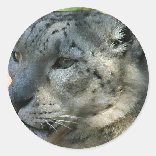 Sticker Rond snowleopard (Devant)