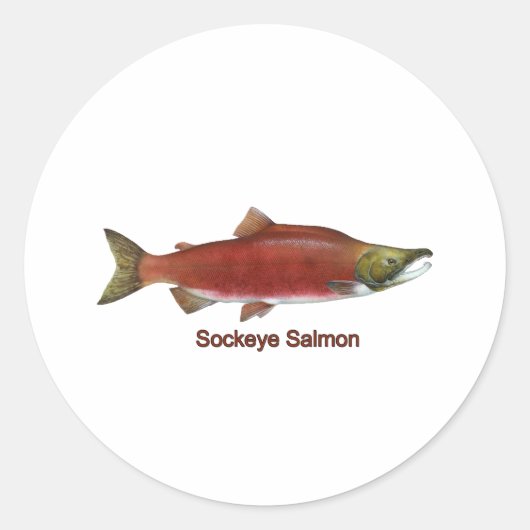 Sticker Rond Sockeye - Saumon rouge (intitulé) (Devant)