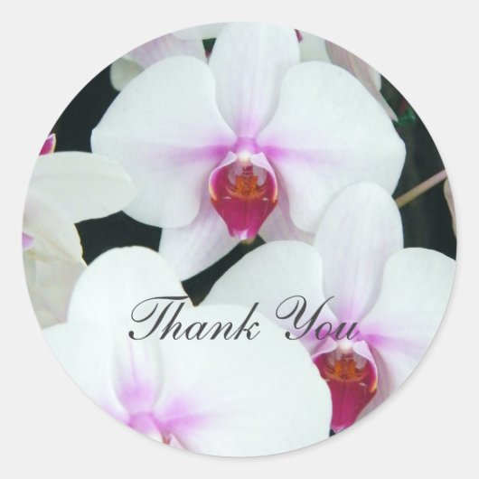 Sticker Rond Soeurs - Merci (Devant)