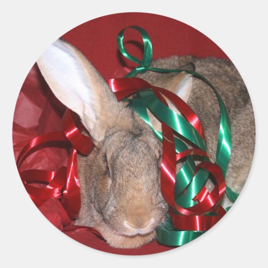 Sticker Rond Soirée de Noël de Bunny (Devant)