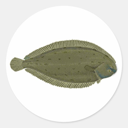 Sticker Rond Sole (Devant)