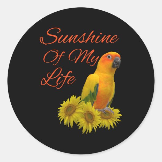 Sticker Rond Soleil de perroquet de Sun Conure (Devant)