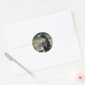 Sticker Rond Soleil ours au zoo (Enveloppe)