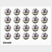 Sticker Rond Solo Garlic (Feuille)