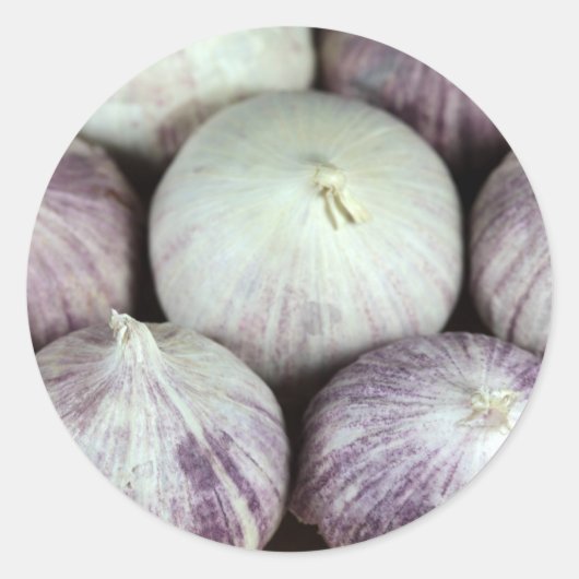 Sticker Rond Solo Garlic (Devant)