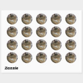Sticker Rond Somalien, habituel (Feuille)