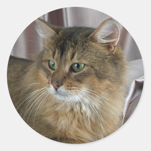 Sticker Rond Somalien, habituel (Devant)