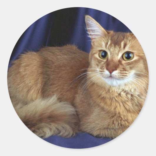 Sticker Rond Somalien, sorrel (Devant)