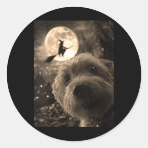 Sticker Rond Sorcière volante pleine lune selfie maltais drôle