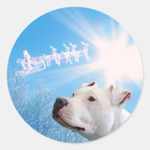 Sticker Rond Souhait blanc de Noël de chien de PItbull