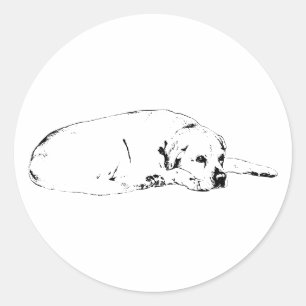 Sticker Rond Soul attentif