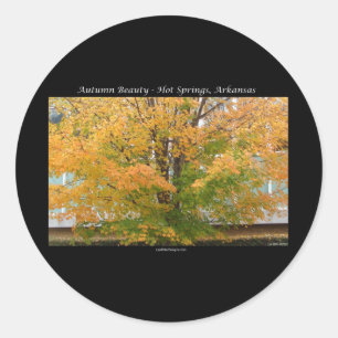 Sticker Rond Sources chaudes Autumn Beauty, Arkansas Vêtements