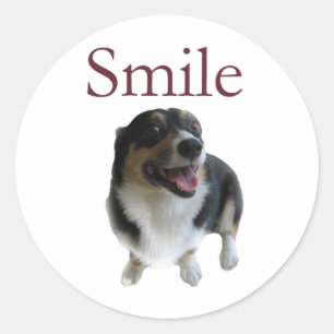 Sticker Rond Sourire mignon de chien