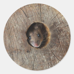 Sticker Rond Souris en bois