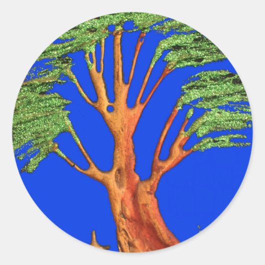 Sticker Rond Sous le ciel bleu : La collection d'arbres Acacia (Devant)