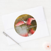 Sticker Rond spatule (Enveloppe)