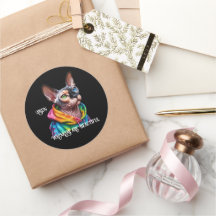 Sphynx Cat Wrinkles Anniversaire