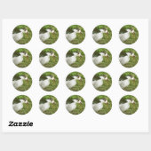 Sticker Rond Spice Mange un maïs (Feuille)