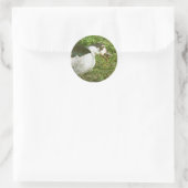 Sticker Rond Spice Mange un maïs (Sac)