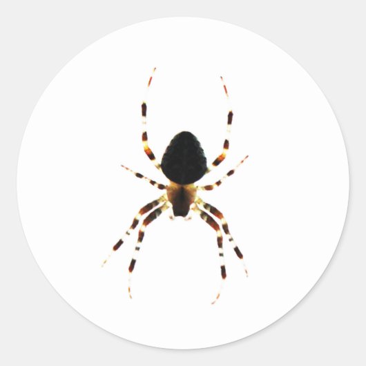 Sticker Rond Spider st arc3 (Devant)