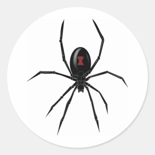 Sticker Rond Spider WIdow noir (Devant)