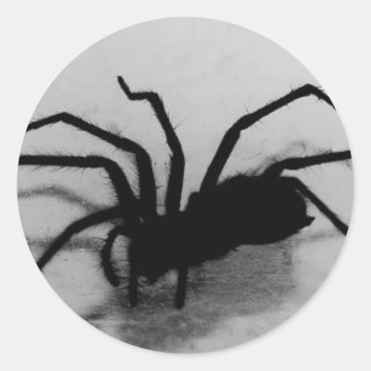 Sticker Rond spideroo (Devant)